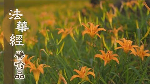 《法華經 譬喻品》觀身不淨 業種為因 - 第707集