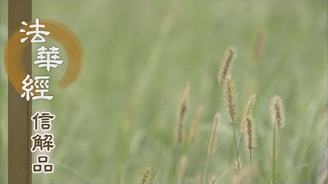 《法華經 信解品》洗欲垢淨 息心達本 - 第787集