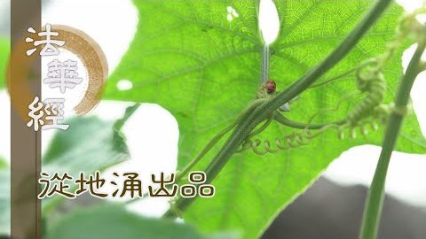 煩惱病輕 則易化度 - 第1471集