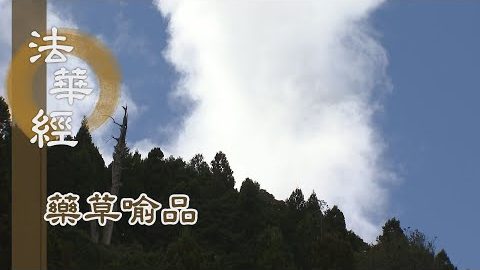 《法華經 藥草喻品》回顧四品 入心無漏 - 第868集
