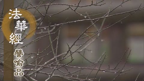 《法華經 譬喻品》悲愍眾生 火宅救子 - 第645集