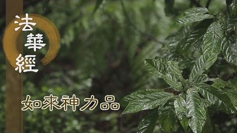 《法華經 如來神力品》恆久化眾 成佛不離 - 第1783集