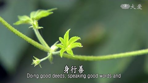 貪著利養 斷功德本 - 第145集