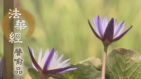 《法華經 譬喻品》三觀空有 行菩提道 - 第577集