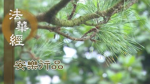 五欲招苦 離惡近善 - 第1403集