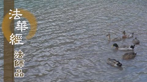 《法華經 法師品》- 勸修諸善 忍為急務 - 第1248集