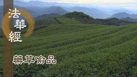 《法華經 藥草喻品》藥草喻品 普被群機 - 第867集