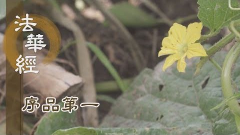 《法華經 序品第一》- 心靈妙藥 自度度人 - 第137集