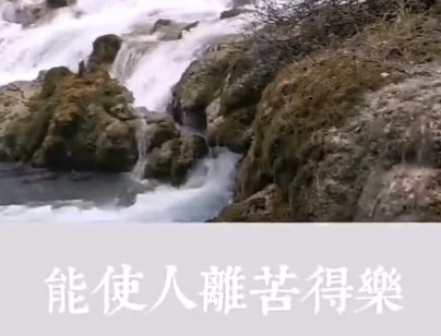 拔苦与乐