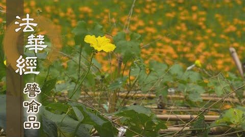 《法華經 譬喻品》為救眾生入三界 - 第672集