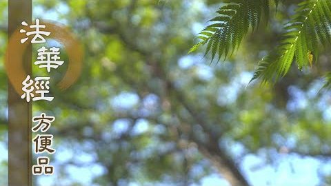 大悲施教 諸法實相 - 第204集