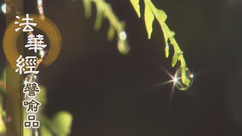 《法華經 譬喻品》諸子無知 父憂如焚 - 第554集