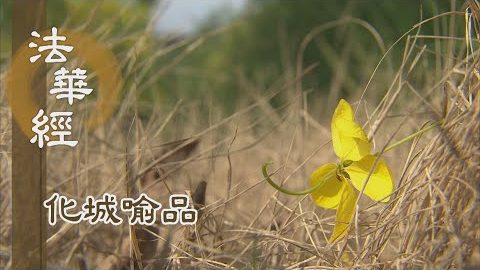 《法華經 化城喻品》 - 前入化城 生已度想 - 第1079集