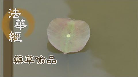 《法華經 藥草喻品》 - 佛德浩瀚說難盡 - 第873集