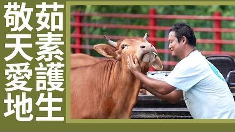 20260808敬天愛地 萬物共生