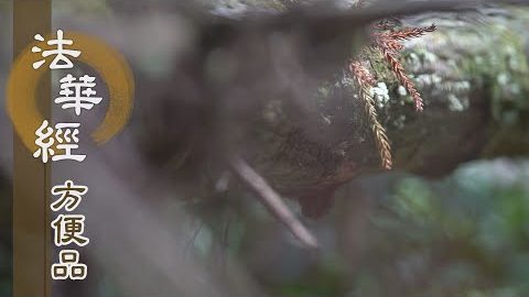 造像啟信 應機接引 - 第395集