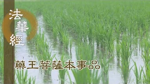 《法華經 藥王菩薩本事品》 正法治世 離諸衰患 - 第1845集