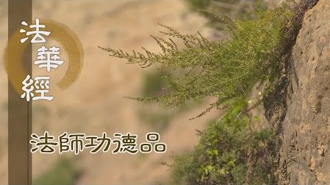 苦樂之境 悉於身現 - 第1707集