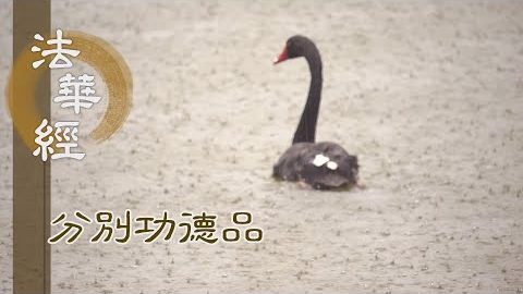 菩薩四攝 饒益眾生 - 第1575集