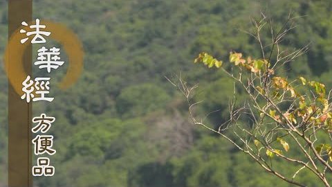 珍惜妙法施群生 - 第451集