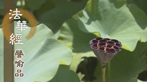 《法華經 譬喻品》眾生之父 拔其苦難 - 第591集