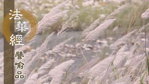《法華經 譬喻品》以權智入真實 - 第564集
