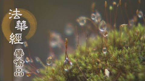 《法華經 譬喻品》禪定解脫之樂 - 第610集