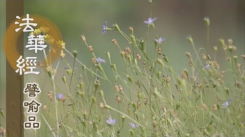 《法華經 譬喻品》迷途知返歸正道 - 第476集