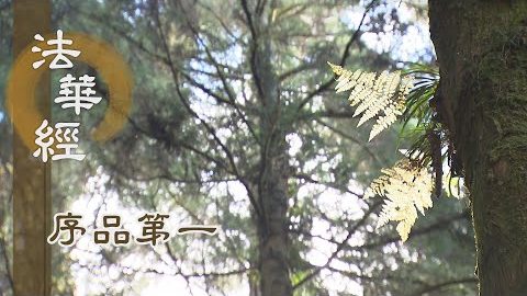 《法華經 序品第一》- 佛德普令眾生成菩提 - 第113集