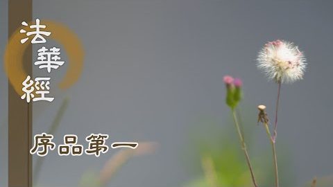 《法華經 序品第一》- 意存寬純 智明如鏡 - 第104集