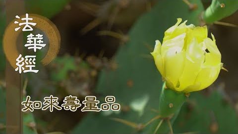 深信精勤 漸入佛智 - 第1510集