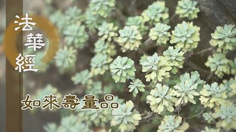 非滅唱滅 方便教化 - 第1528集