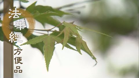 方便助顯第一義 - 第383集