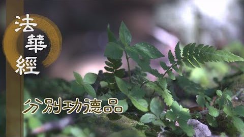 修學正法 弘傳大乘 - 第1606集