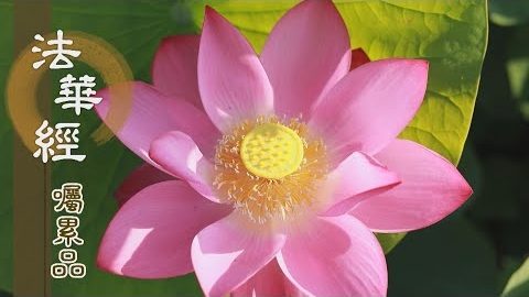《法華經 囑累品》神力品竟 啟囑累品 - 第1797集