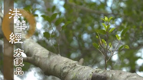 脫苦縛 得安樂 - 第230集