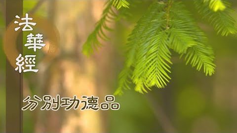念報四恩 得入道疾 - 第1586集