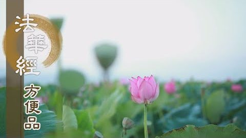 終不以小乘度眾生 - 第352集