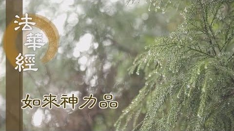 《法華經 如來神力品》八部護法 願世安穩 - 第1774集