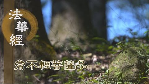 《法華經 常不輕菩薩品》禮未來佛 持菩薩行 - 第1749集