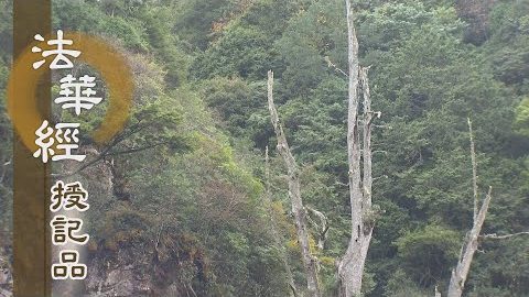 《法華經 授記品》 - 授記目犍連尊者 - 第966集