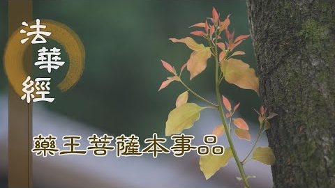 《法華經 藥王菩薩本事品》 勸令攝靜 一心正念 - 第1836集