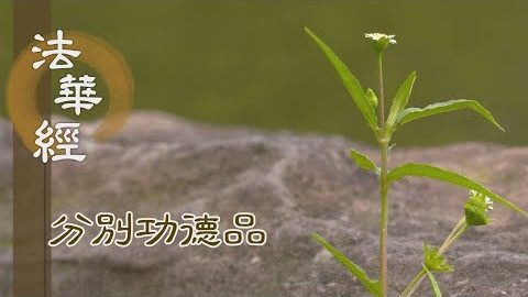 聞法信解 誠敬受持 - 第1612集