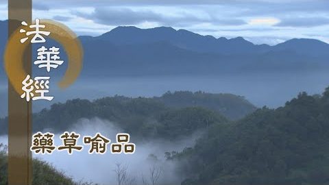 《法華經 藥草喻品》 - 法雨普潤 饒益各殊 - 第878集