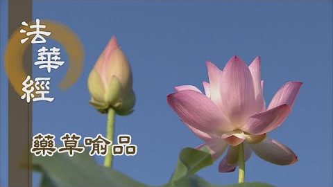 《法華經 藥草喻品》 - 自知作佛 決定無疑 - 第916集