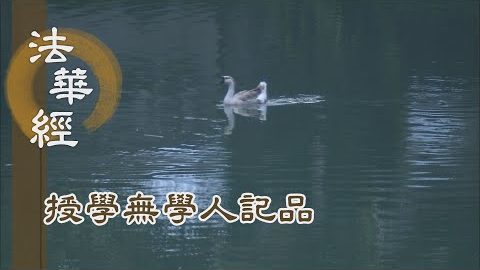 《法華經 授學無學人記品》- 護持法藏 得佛授記 - 第1169集