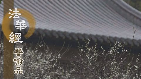 《法華經 譬喻品》妙理真空 望子成道 - 第650集