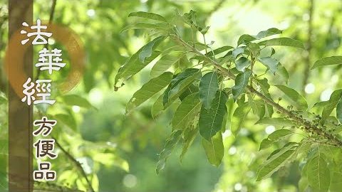 方便對機 契應眾生 - 第292集