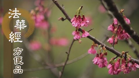 了達四諦 堅固道心 - 第217集