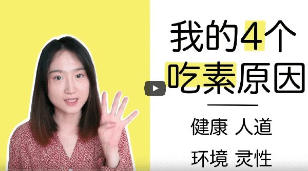 为什么热爱肉的我开始吃素? 健康-人道-环境-灵性